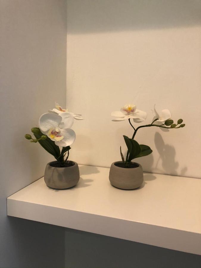 Vesucharme Suite Luxury Room 那不勒斯 外观 照片